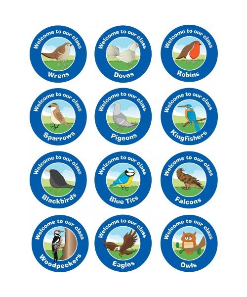 Bird Sign Set of 12 Signs UD04260